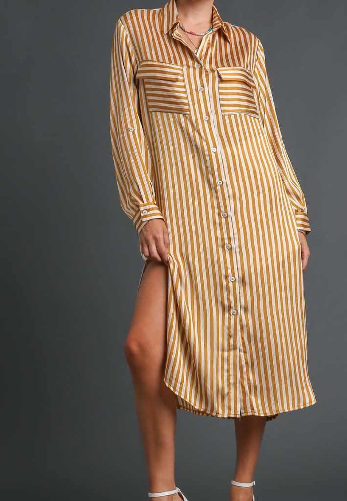 Eva Dress/Shacket